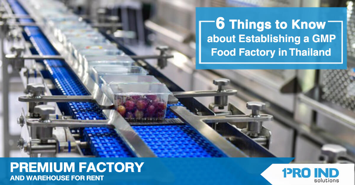 6 Things to Know about Establishing a GMP Food Factory in Thailand 